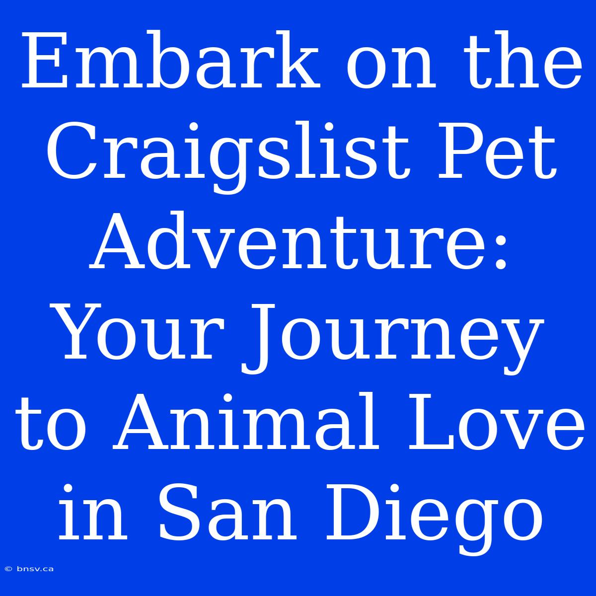 Embark On The Craigslist Pet Adventure: Your Journey To Animal Love In San Diego