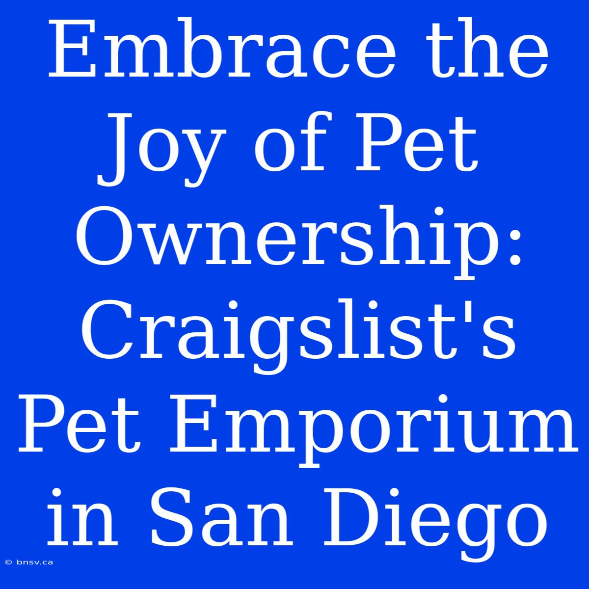 Embrace The Joy Of Pet Ownership: Craigslist's Pet Emporium In San Diego