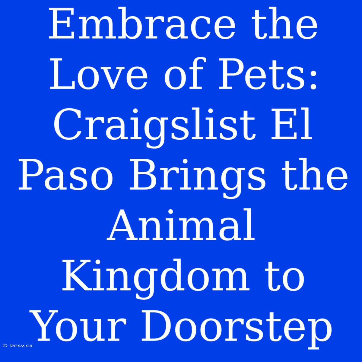 Embrace The Love Of Pets: Craigslist El Paso Brings The Animal Kingdom To Your Doorstep