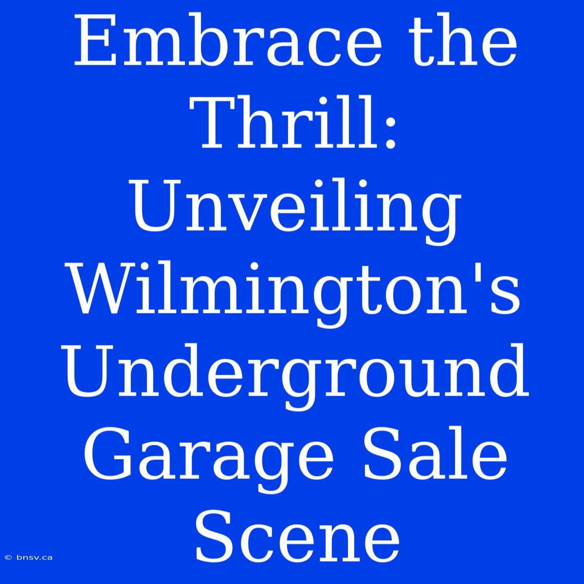 Embrace The Thrill: Unveiling Wilmington's Underground Garage Sale Scene