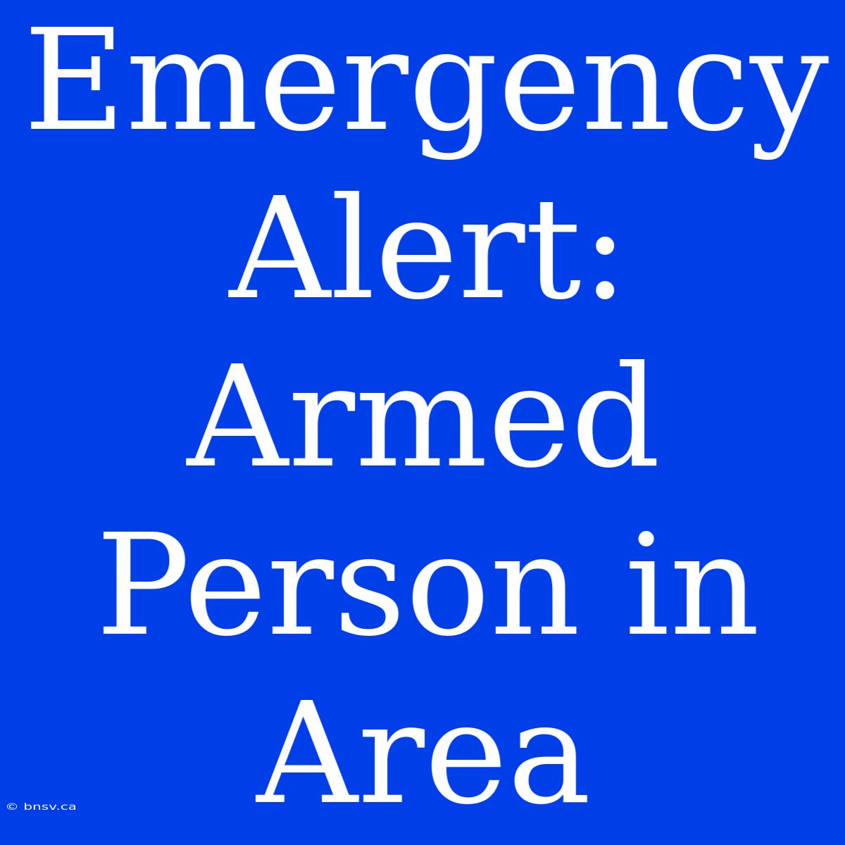 Emergency Alert: Armed Person In Area