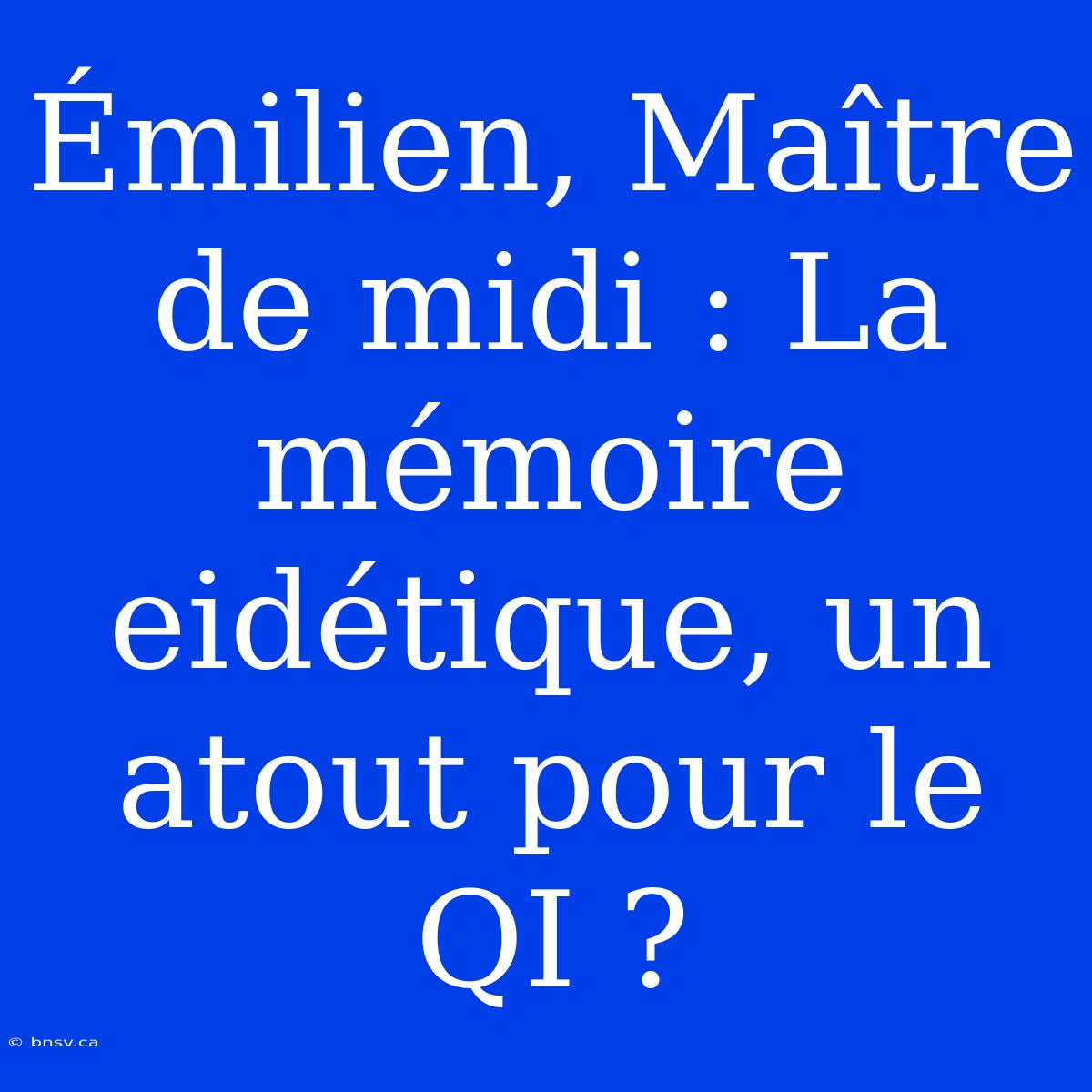 Émilien, Maître De Midi : La Mémoire Eidétique, Un Atout Pour Le QI ?