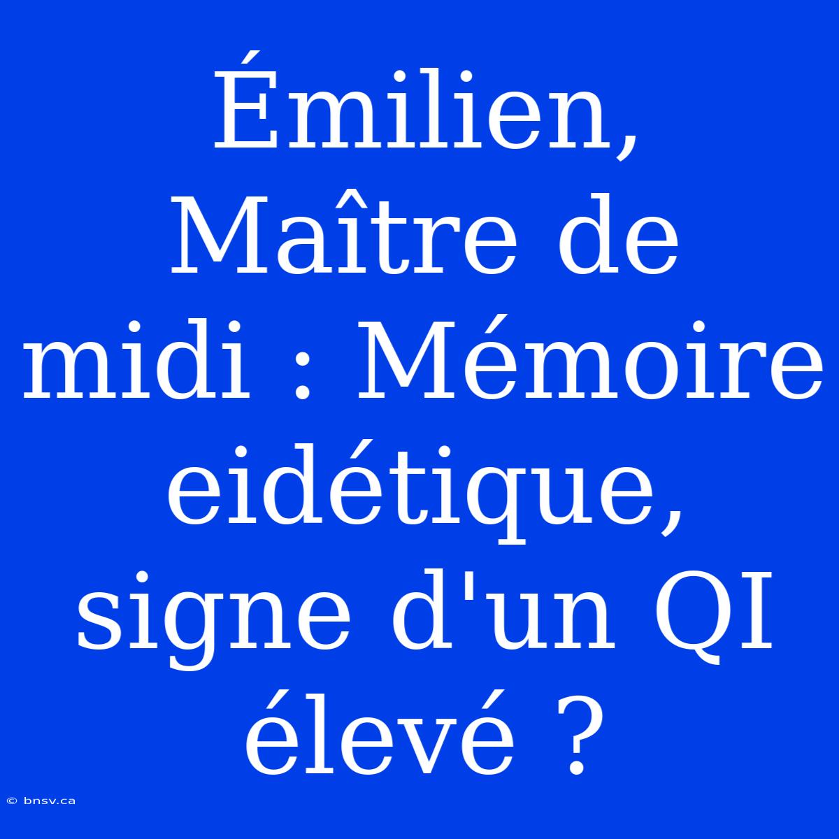 Émilien, Maître De Midi : Mémoire Eidétique, Signe D'un QI Élevé ?