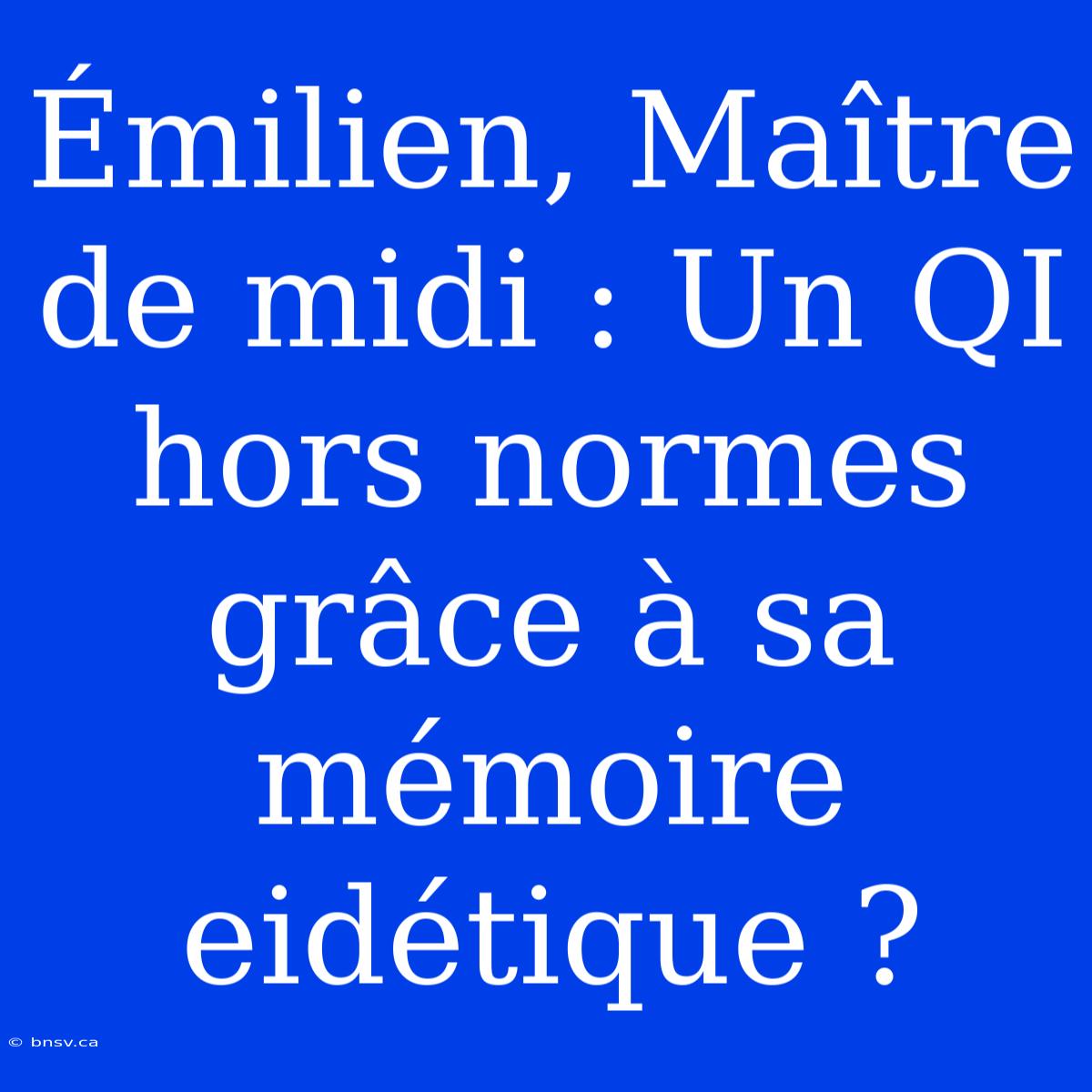 Émilien, Maître De Midi : Un QI Hors Normes Grâce À Sa Mémoire Eidétique ?