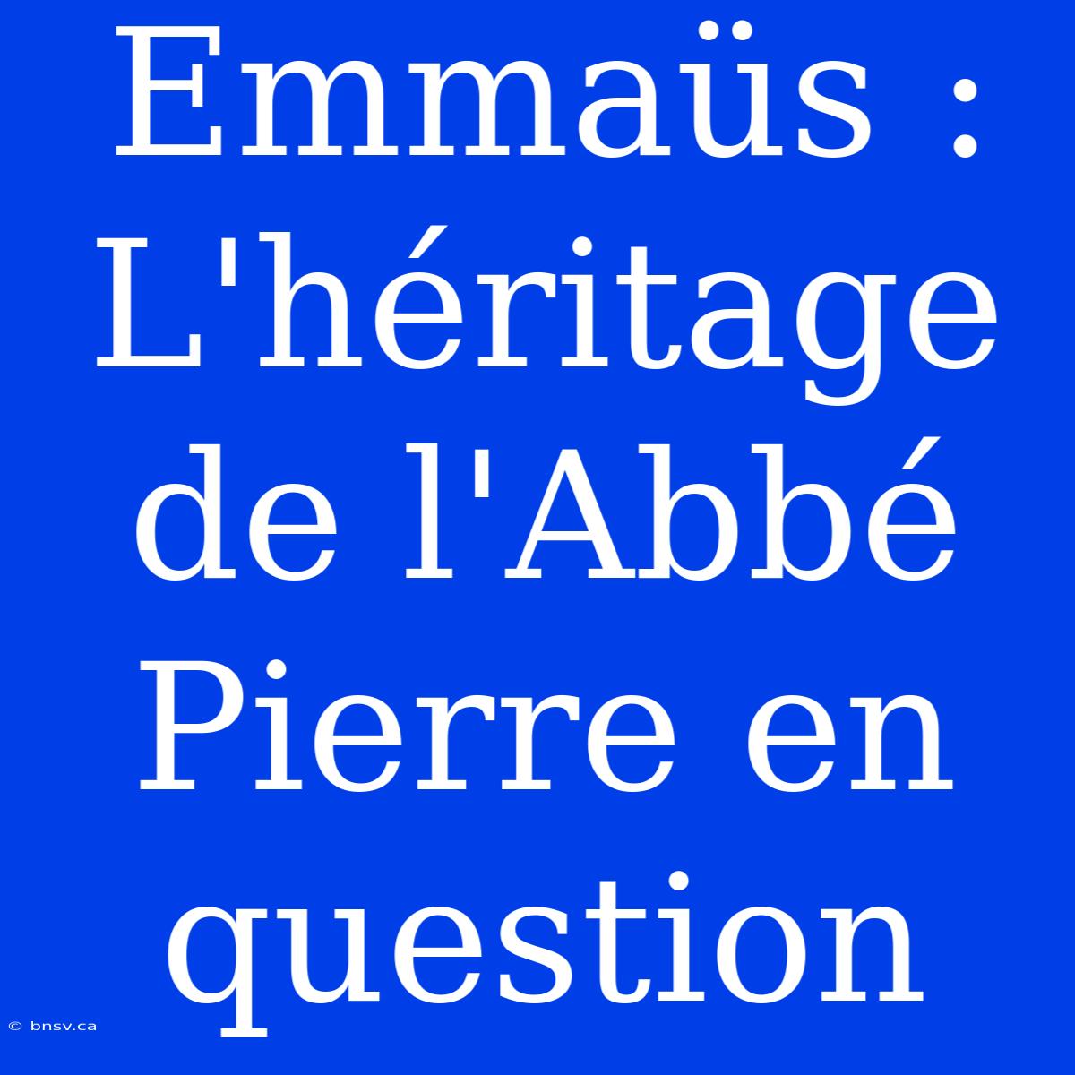 Emmaüs : L'héritage De L'Abbé Pierre En Question