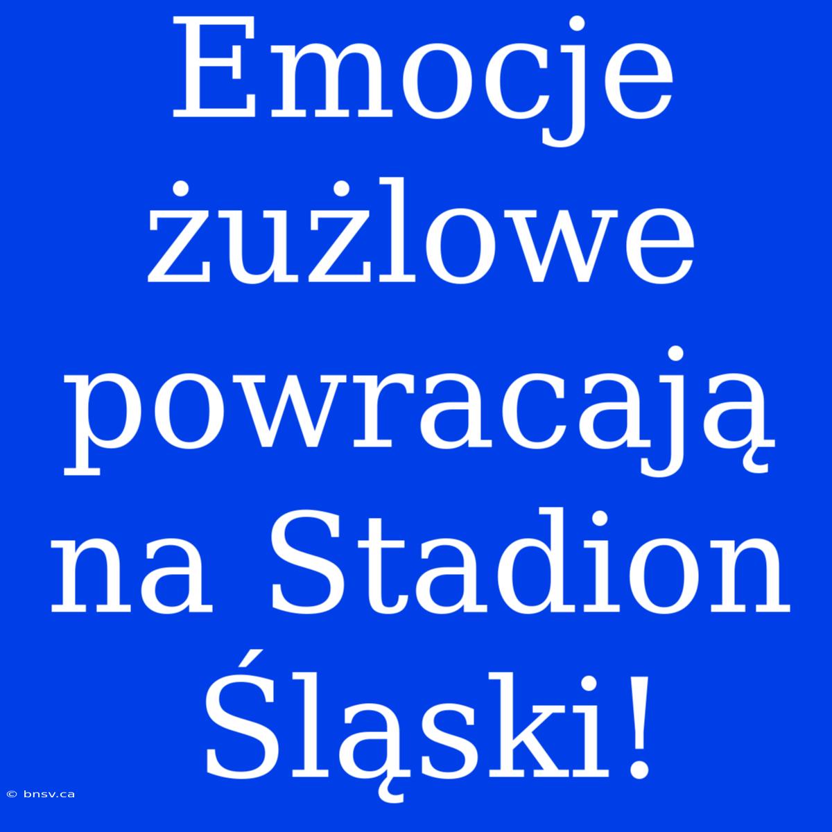 Emocje Żużlowe Powracają Na Stadion Śląski!