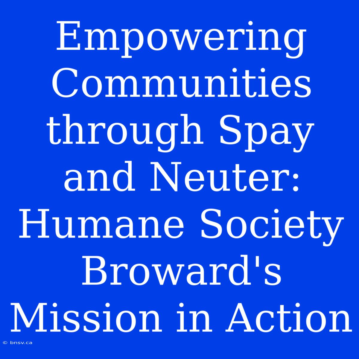 Empowering Communities Through Spay And Neuter: Humane Society Broward's Mission In Action