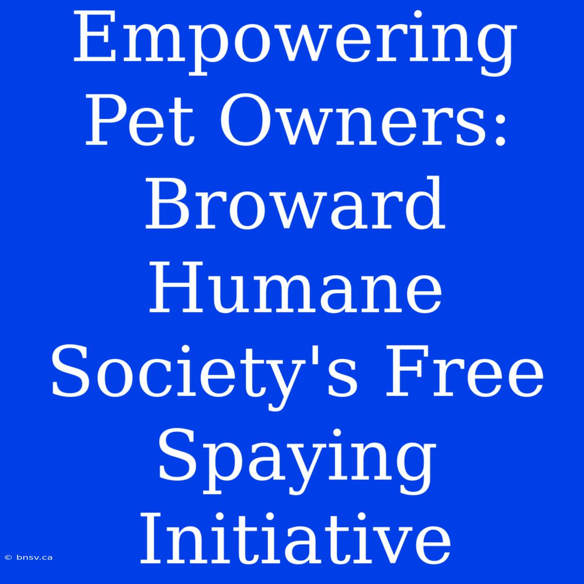 Empowering Pet Owners: Broward Humane Society's Free Spaying Initiative