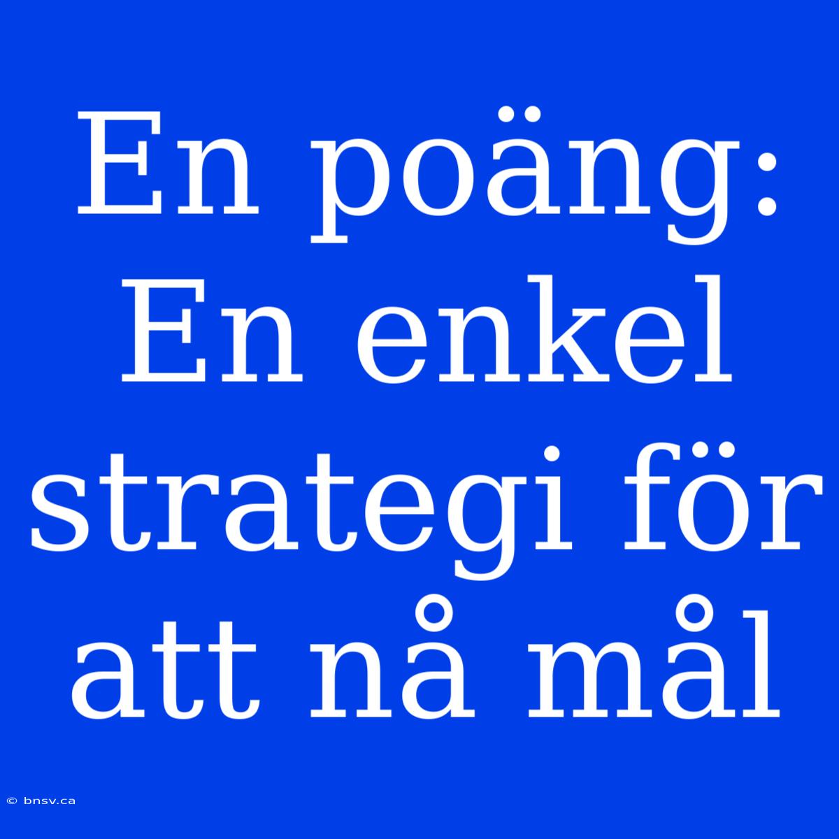 En Poäng: En Enkel Strategi För Att Nå Mål