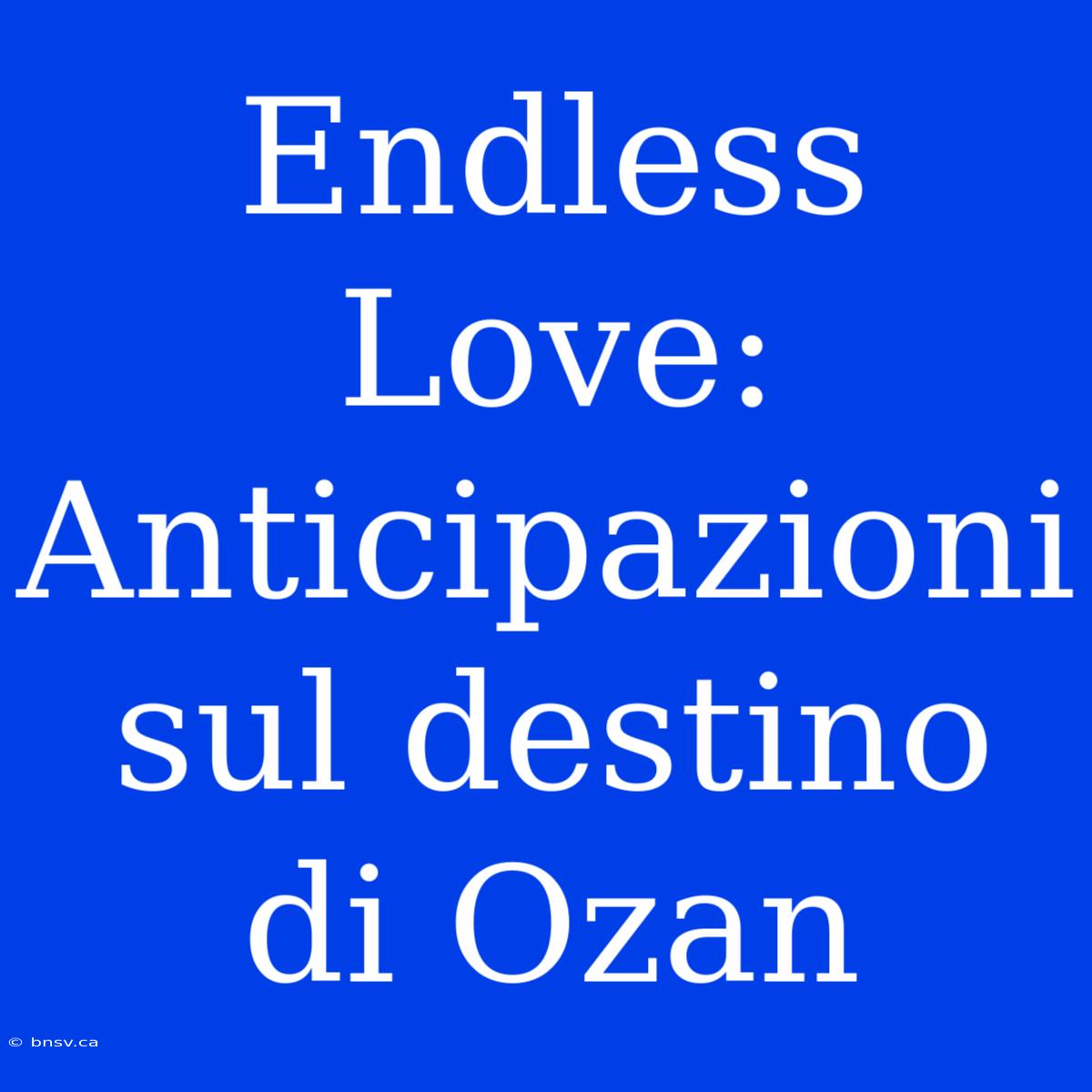 Endless Love: Anticipazioni Sul Destino Di Ozan