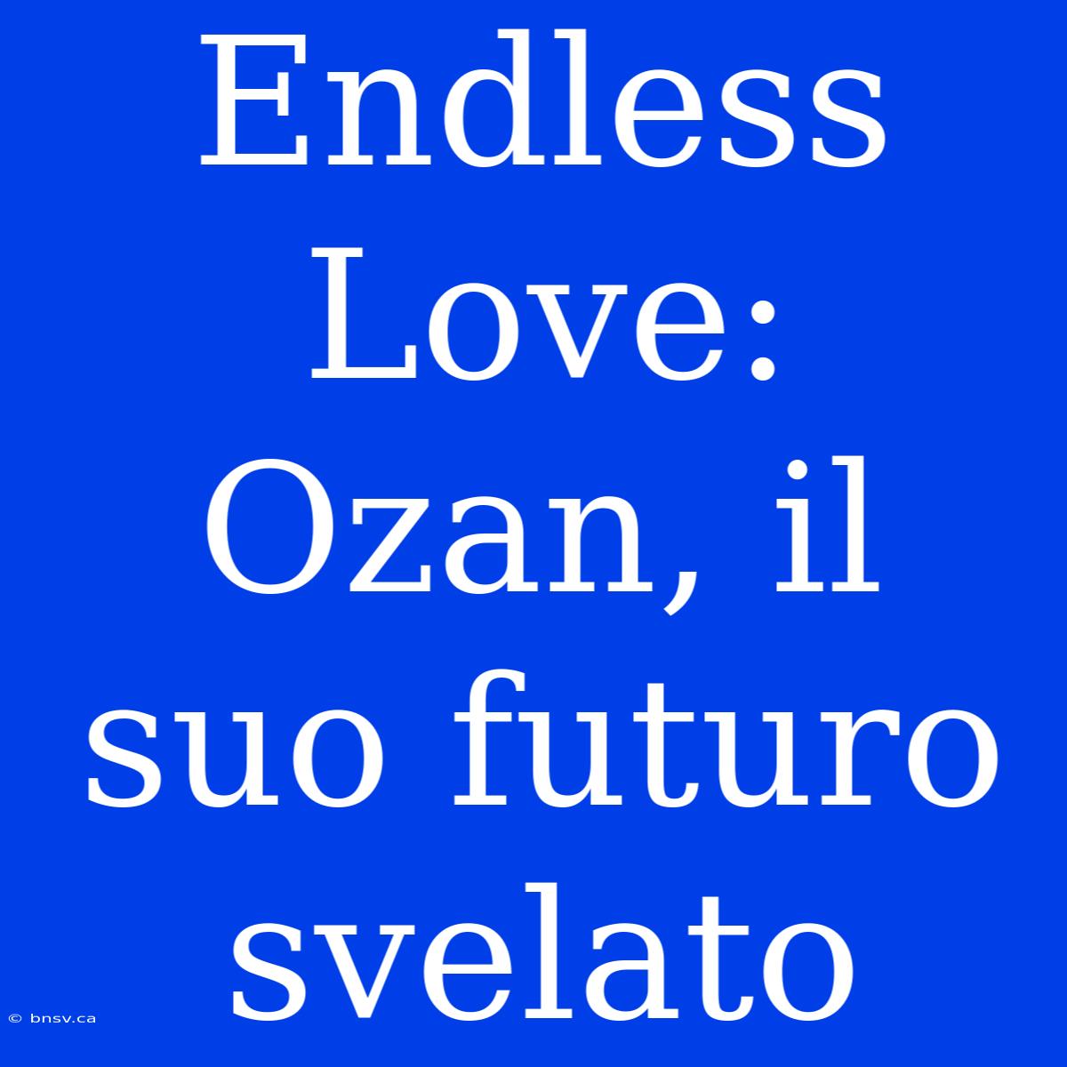 Endless Love: Ozan, Il Suo Futuro Svelato