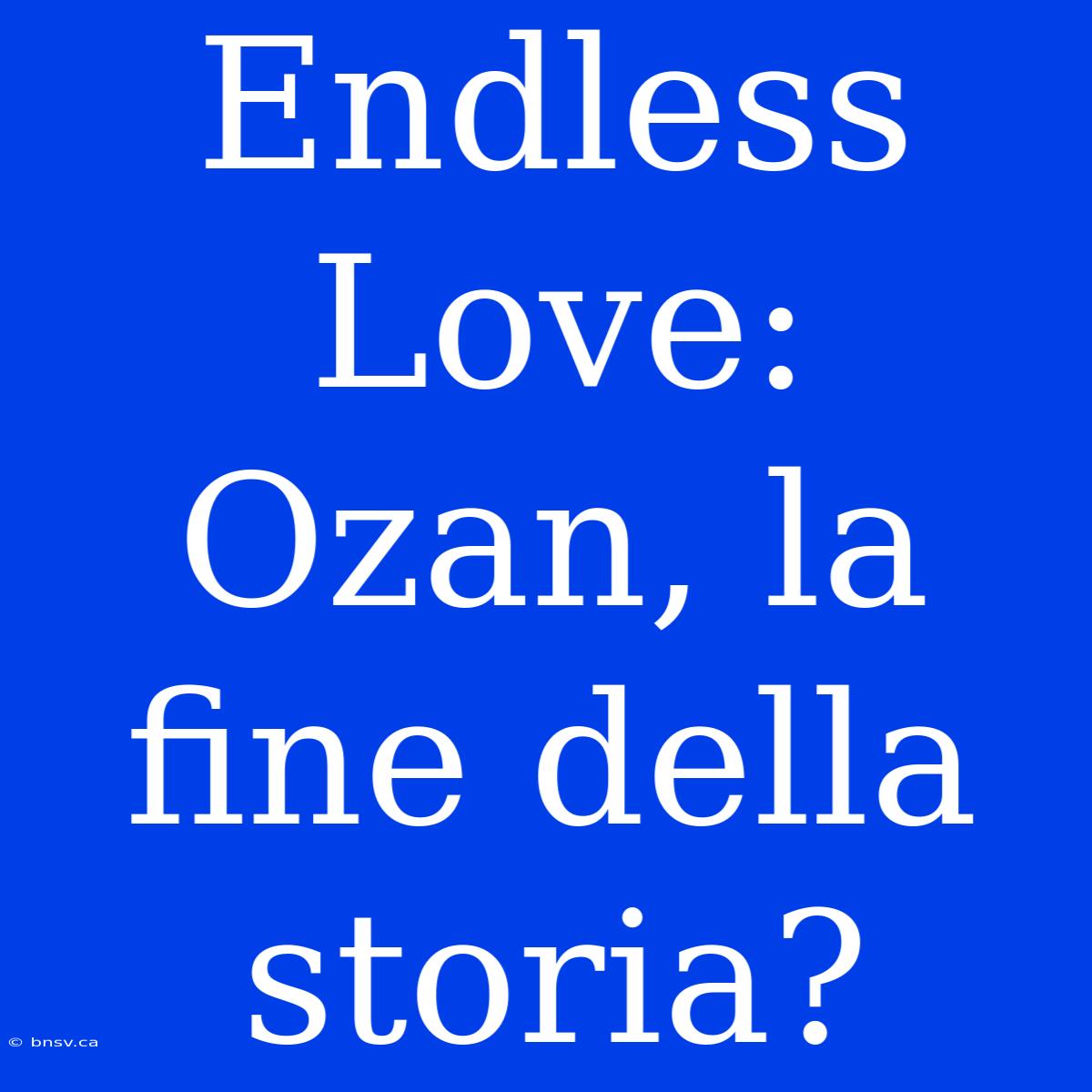 Endless Love: Ozan, La Fine Della Storia?