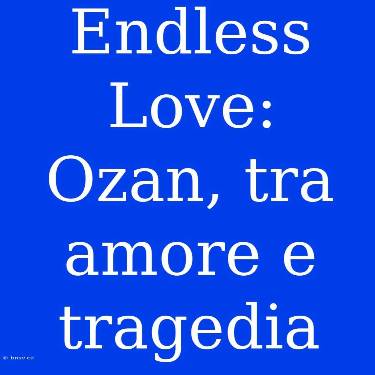 Endless Love: Ozan, Tra Amore E Tragedia