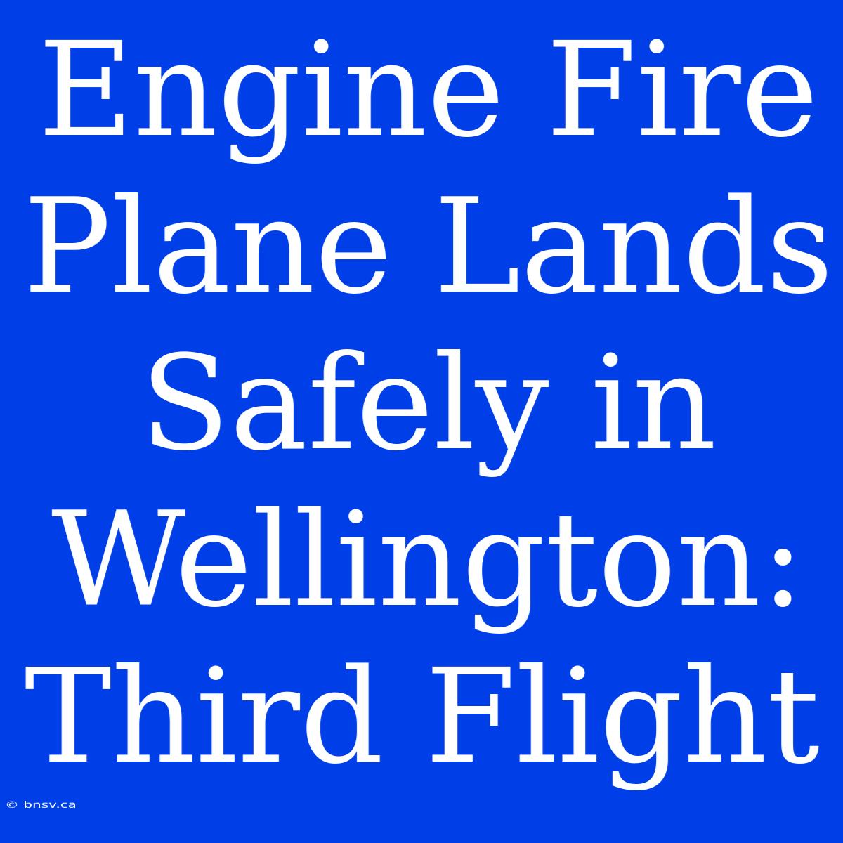 Engine Fire Plane Lands Safely In Wellington: Third Flight