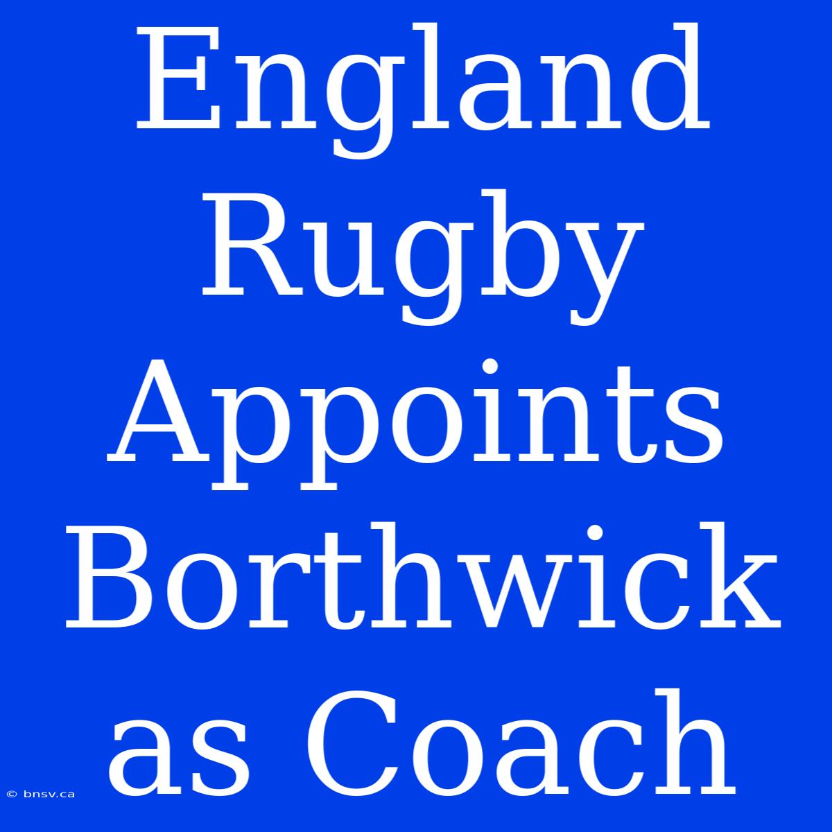 England Rugby Appoints Borthwick As Coach