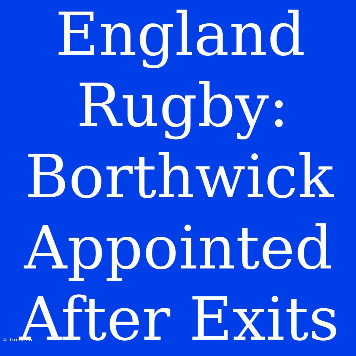 England Rugby: Borthwick Appointed After Exits