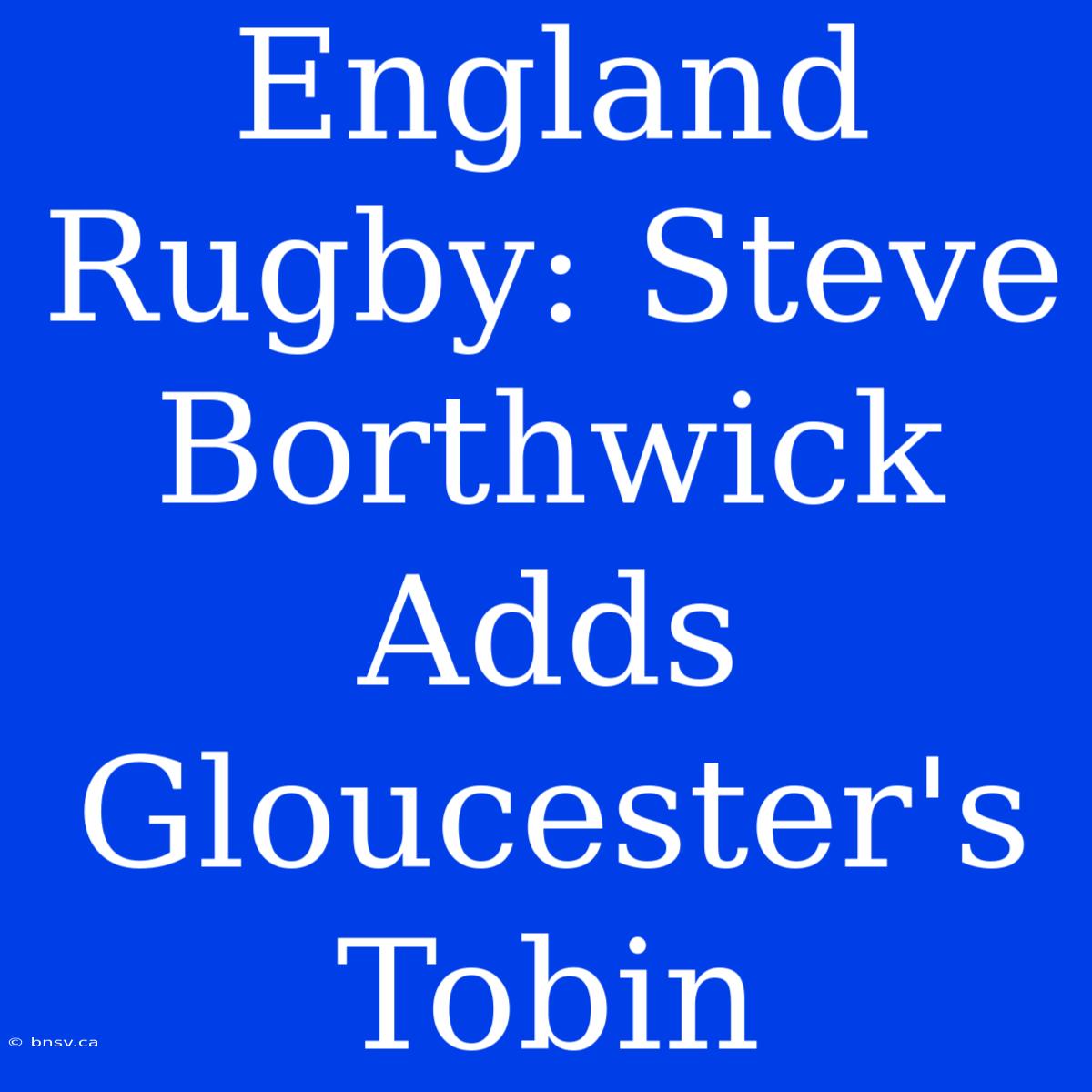 England Rugby: Steve Borthwick Adds Gloucester's Tobin