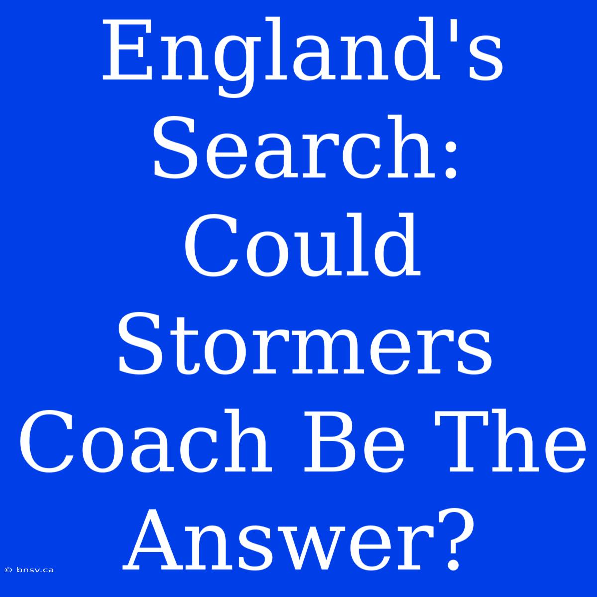 England's Search: Could Stormers Coach Be The Answer?