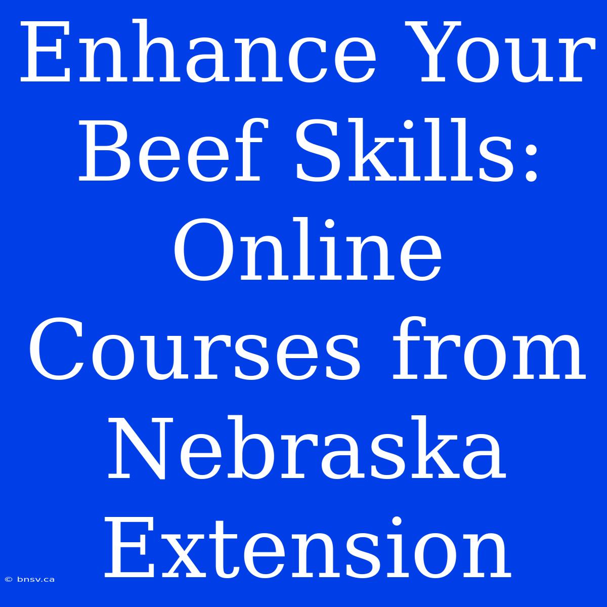 Enhance Your Beef Skills: Online Courses From Nebraska Extension