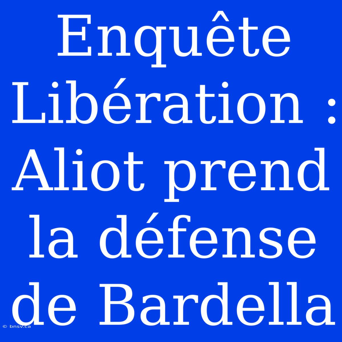 Enquête Libération : Aliot Prend La Défense De Bardella