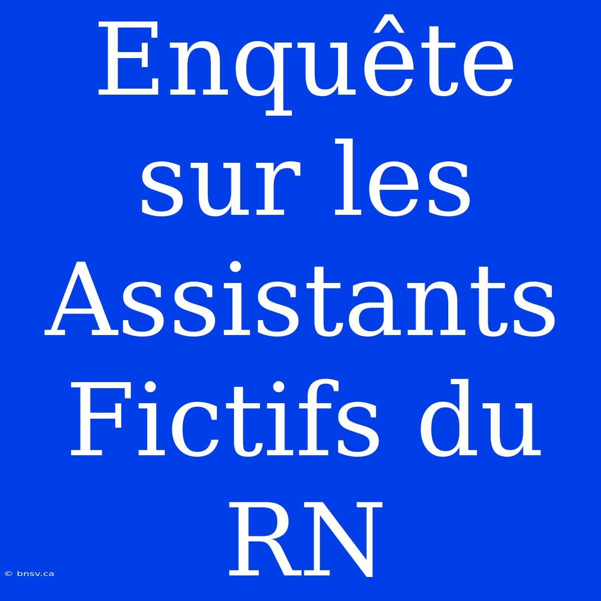 Enquête Sur Les Assistants Fictifs Du RN