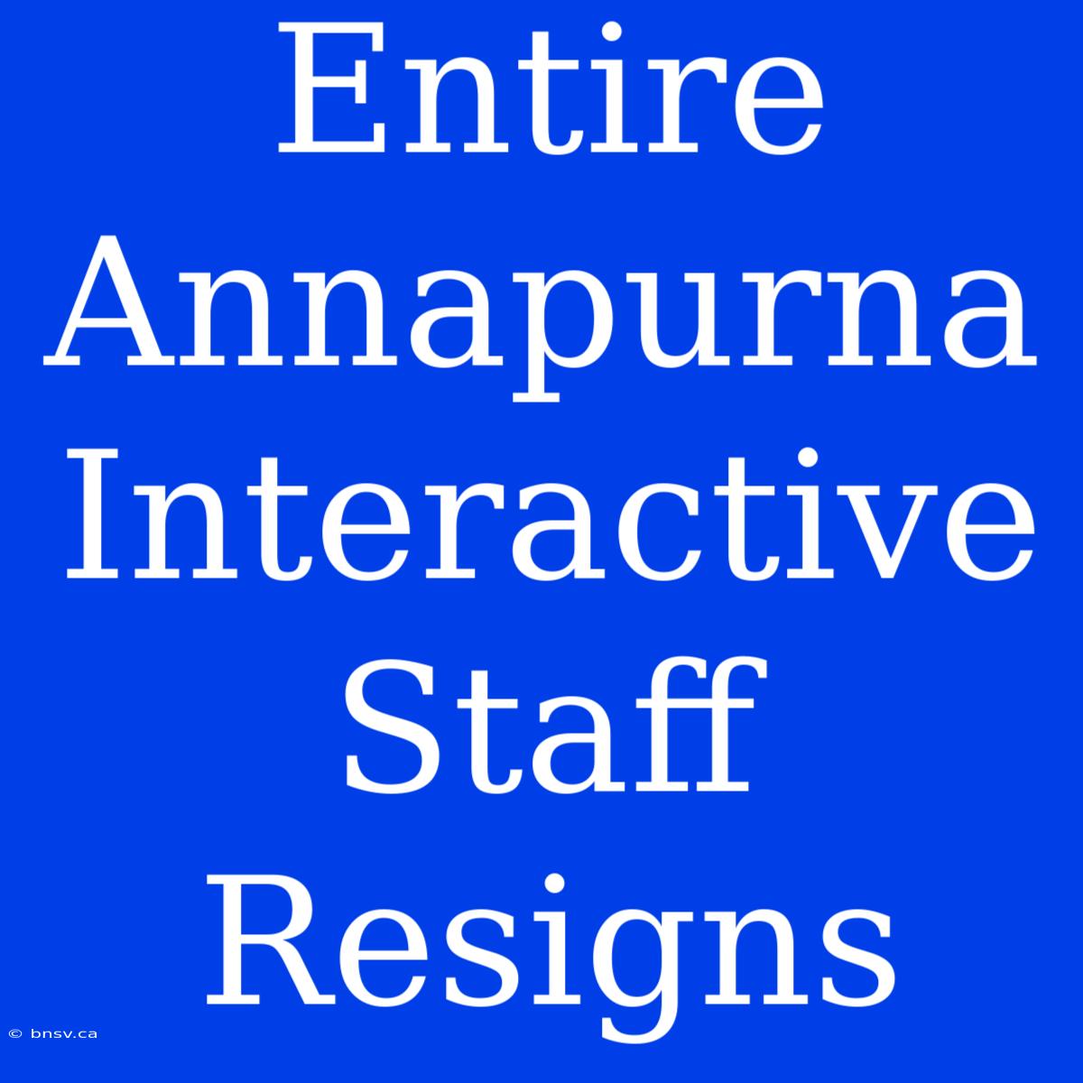 Entire Annapurna Interactive Staff Resigns