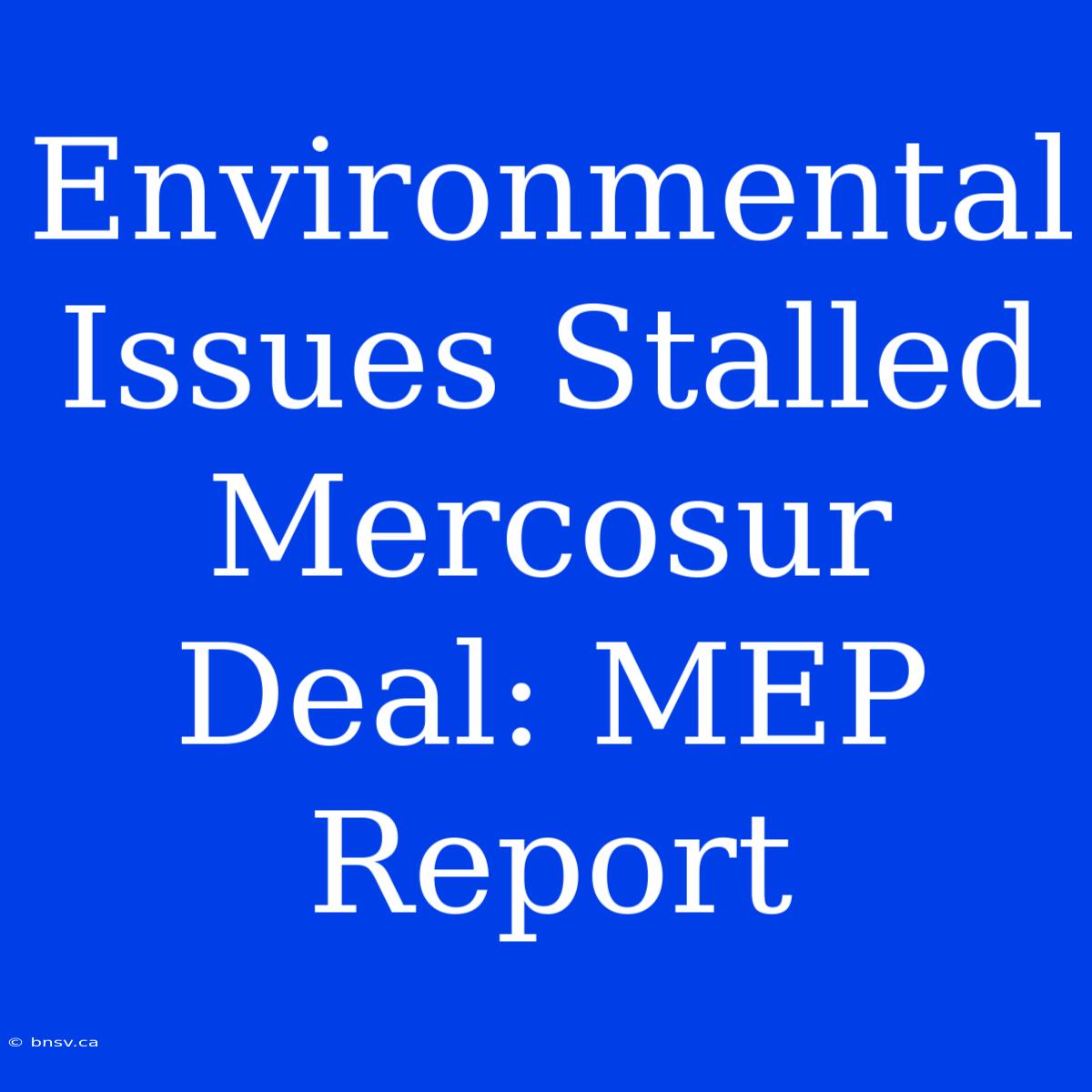 Environmental Issues Stalled Mercosur Deal: MEP Report