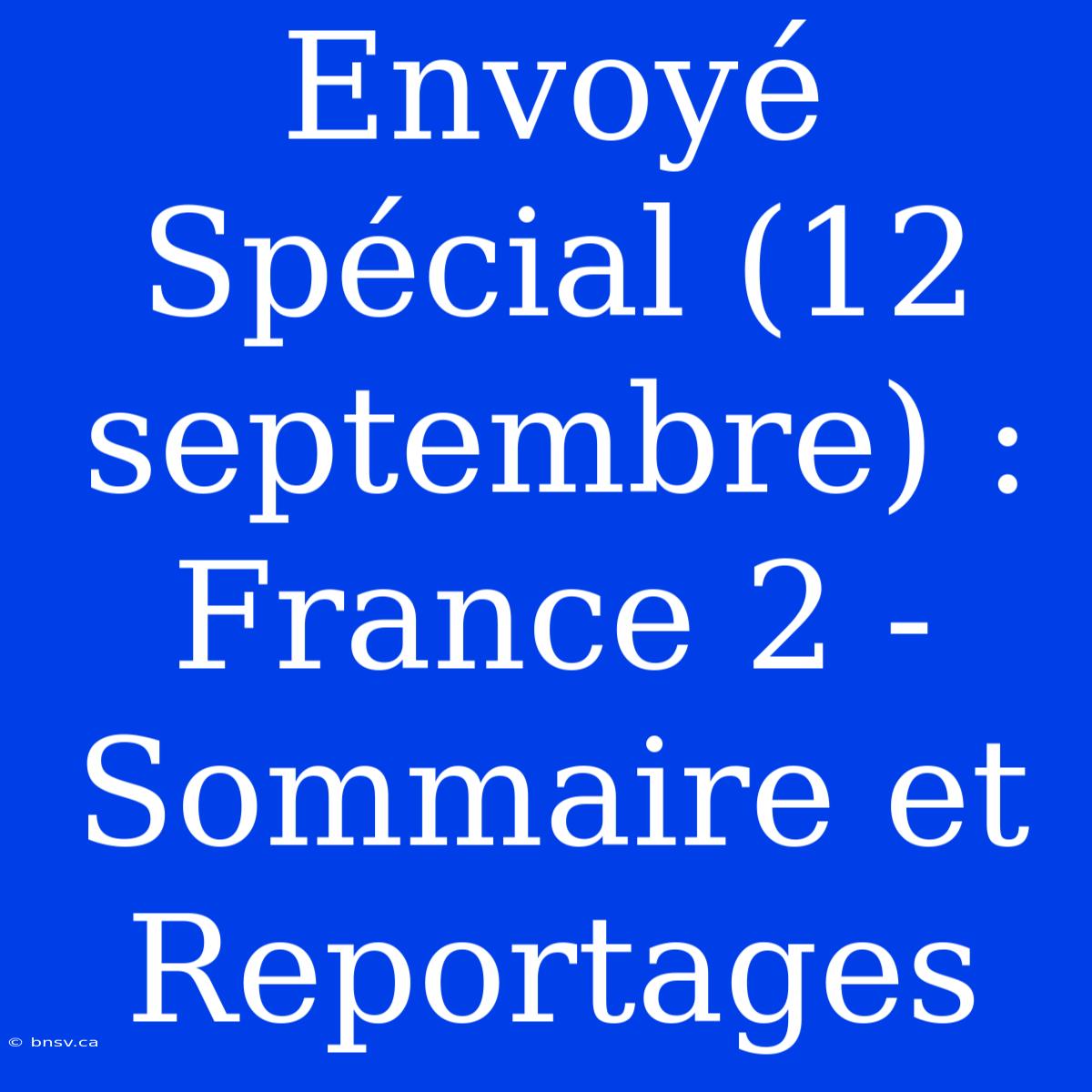 Envoyé Spécial (12 Septembre) : France 2 - Sommaire Et Reportages