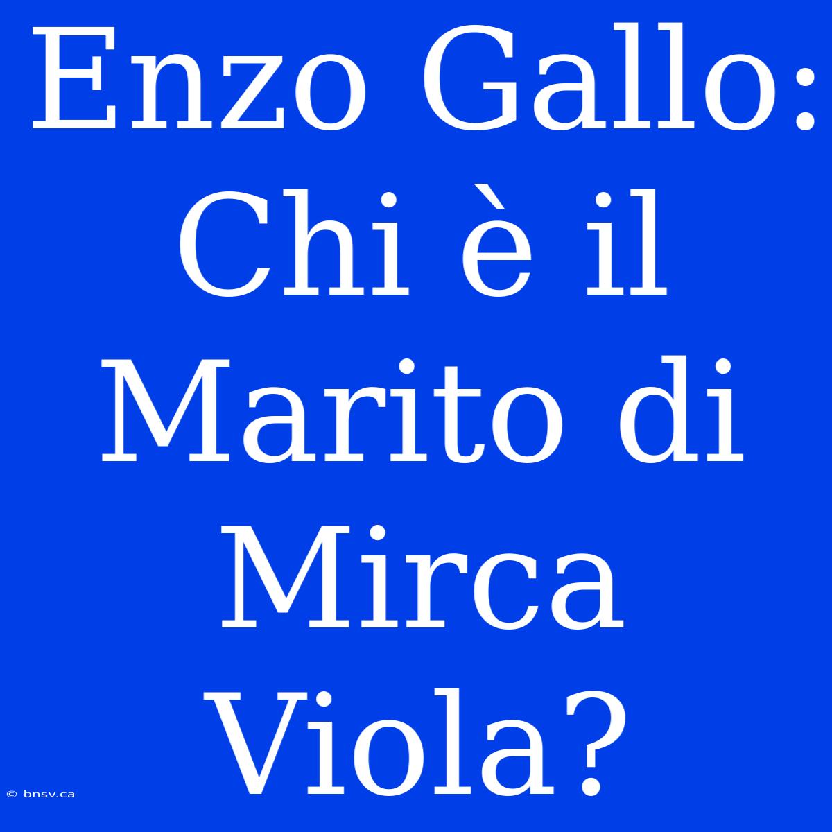 Enzo Gallo: Chi È Il Marito Di Mirca Viola?