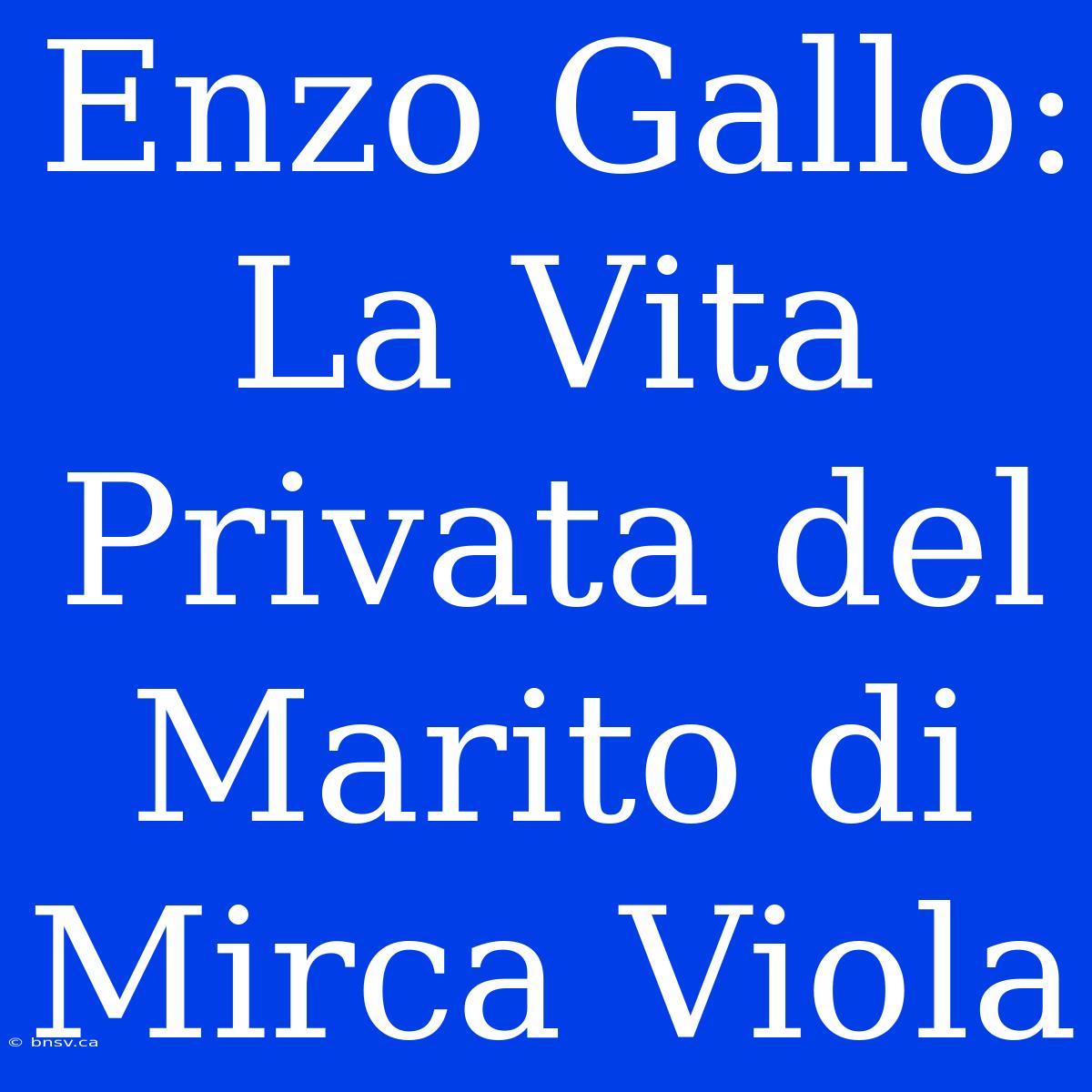 Enzo Gallo: La Vita Privata Del Marito Di Mirca Viola