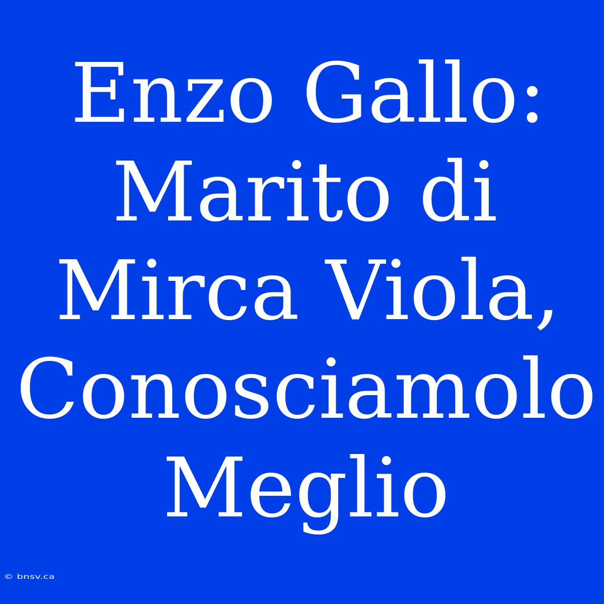 Enzo Gallo: Marito Di Mirca Viola, Conosciamolo Meglio