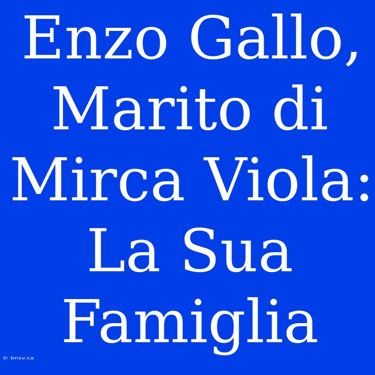 Enzo Gallo, Marito Di Mirca Viola: La Sua Famiglia