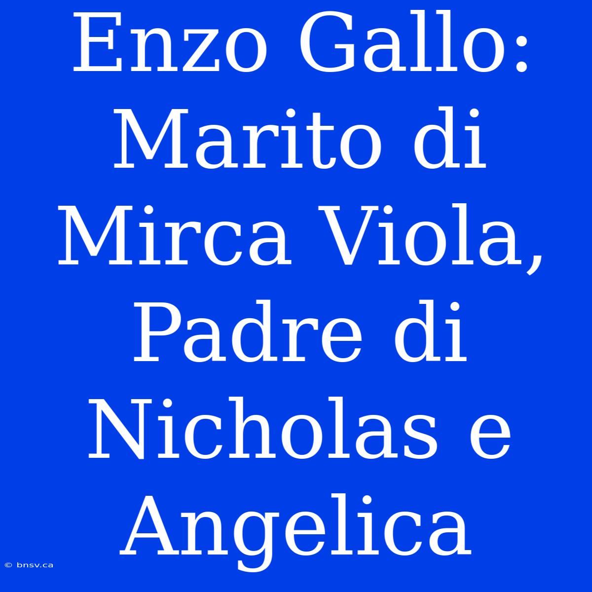 Enzo Gallo: Marito Di Mirca Viola, Padre Di Nicholas E Angelica