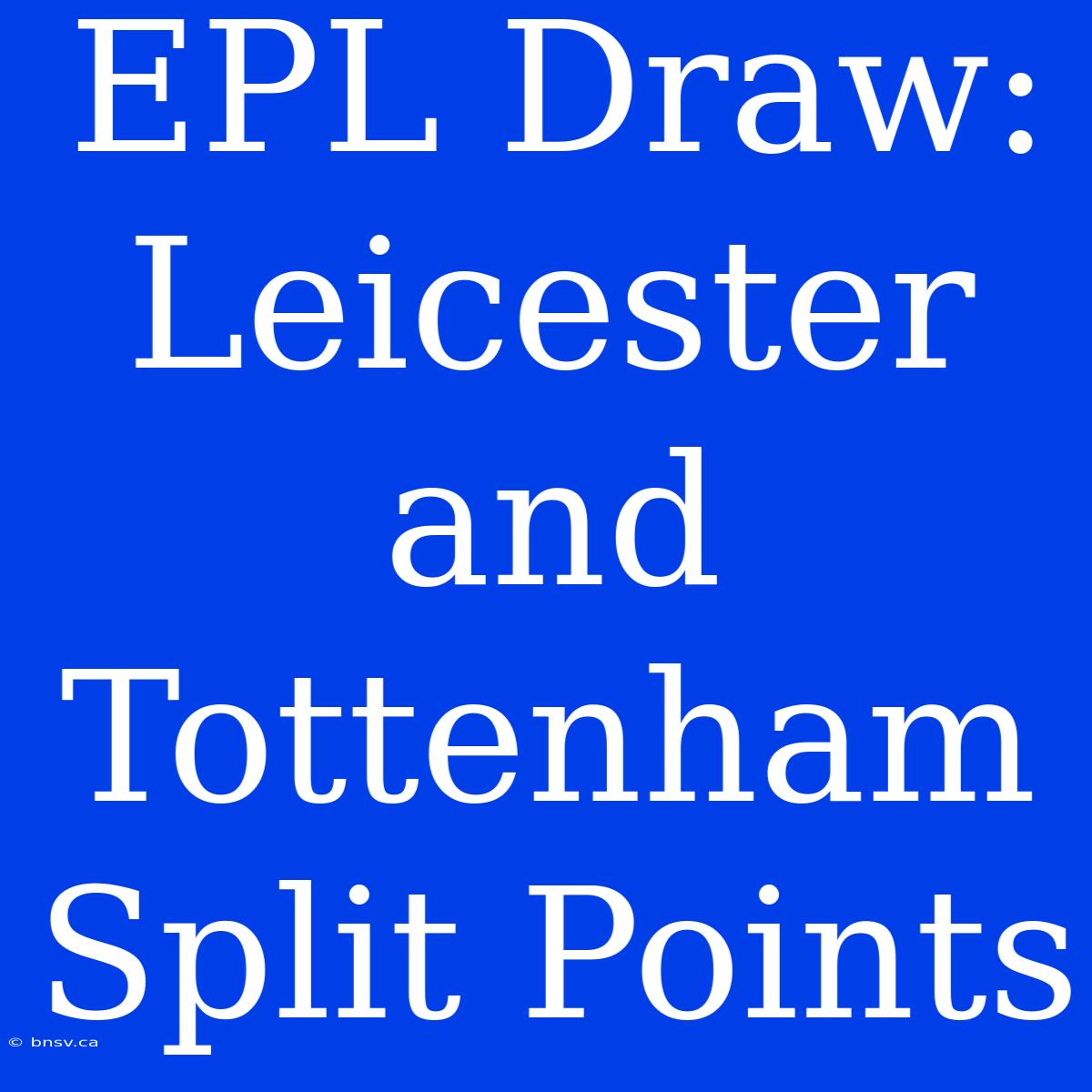 EPL Draw: Leicester And Tottenham Split Points