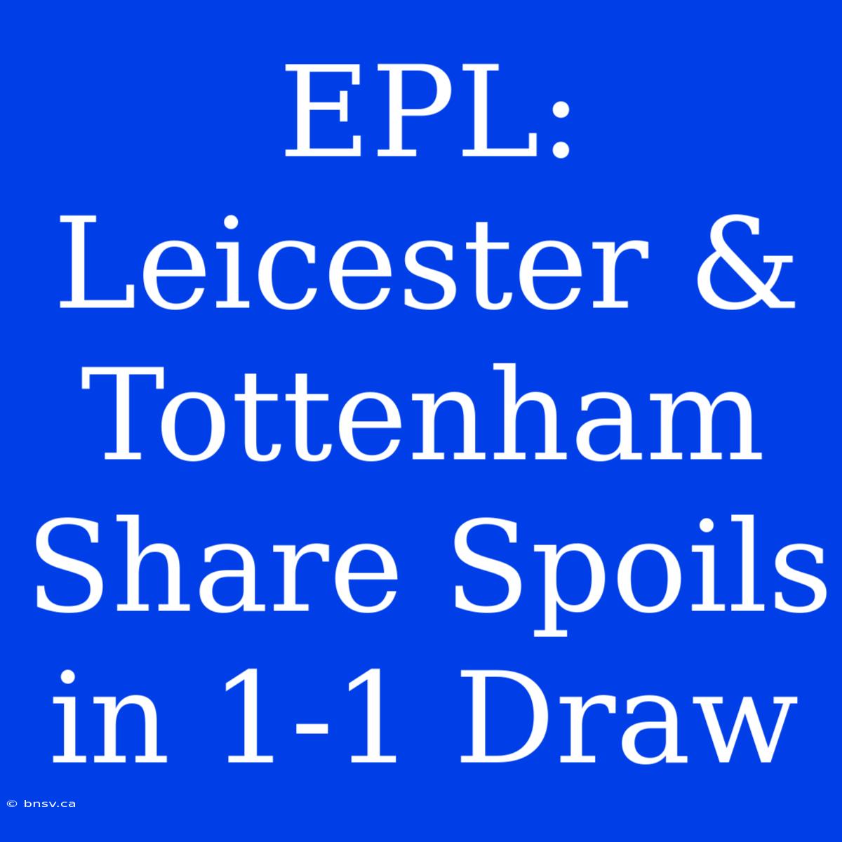 EPL: Leicester & Tottenham Share Spoils In 1-1 Draw