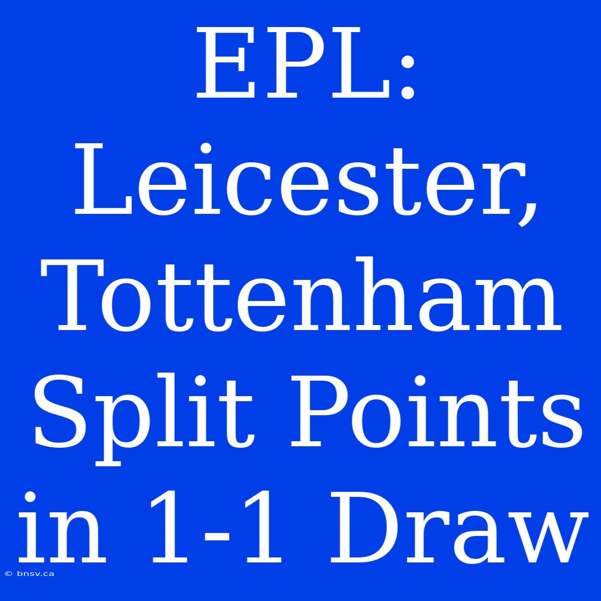 EPL: Leicester, Tottenham Split Points In 1-1 Draw