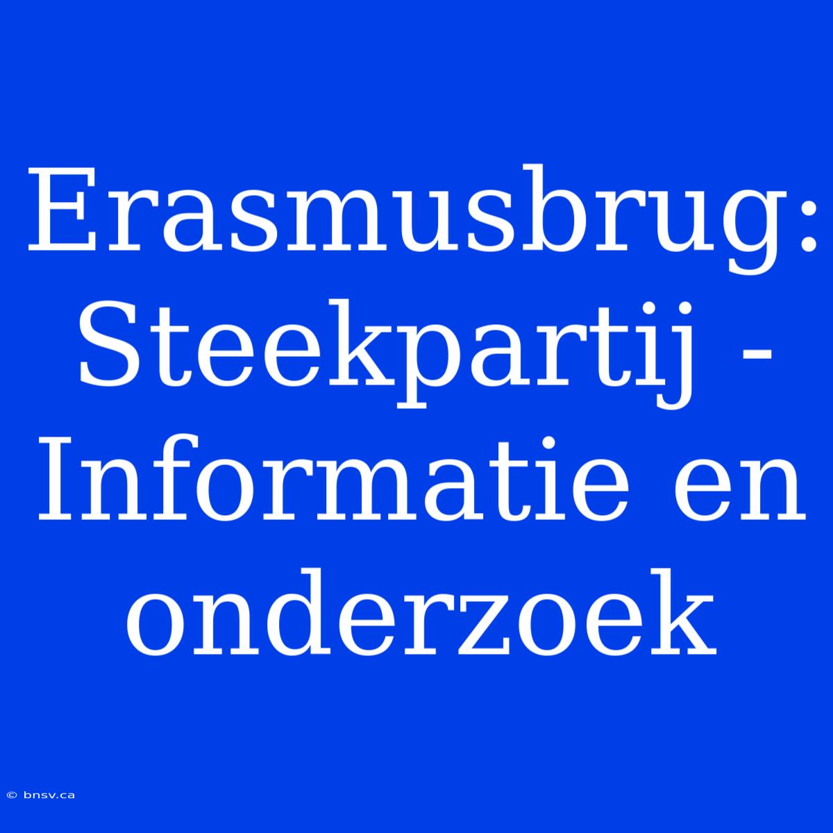 Erasmusbrug: Steekpartij - Informatie En Onderzoek