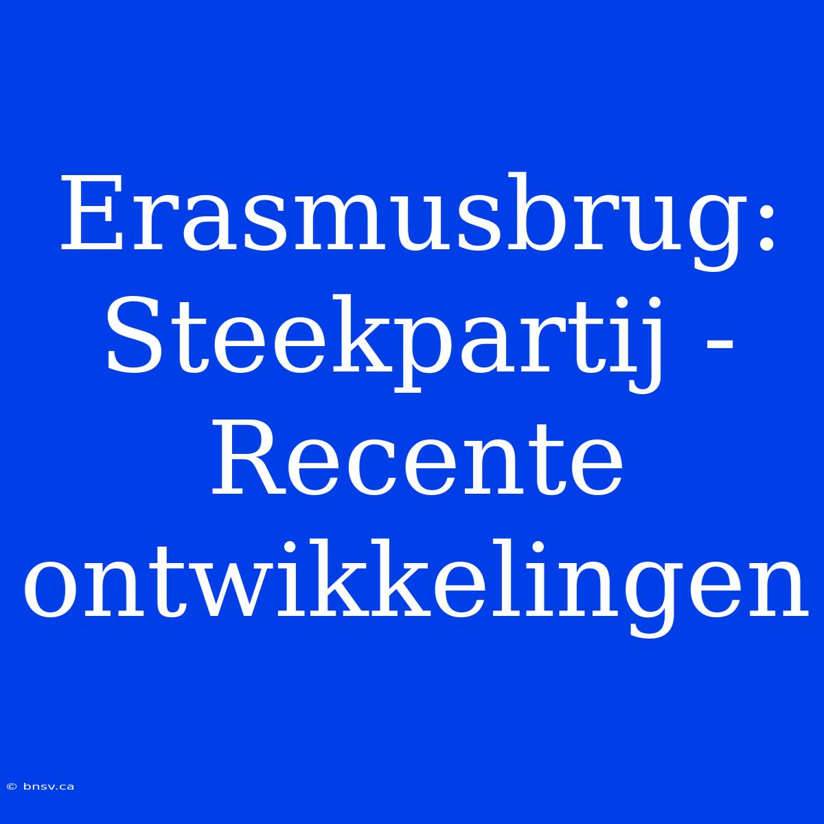 Erasmusbrug: Steekpartij - Recente Ontwikkelingen