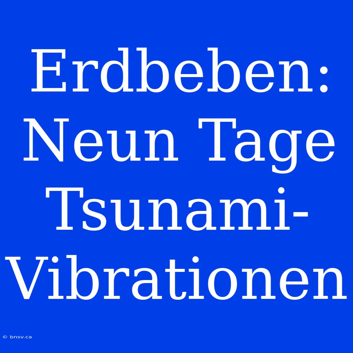 Erdbeben: Neun Tage Tsunami-Vibrationen