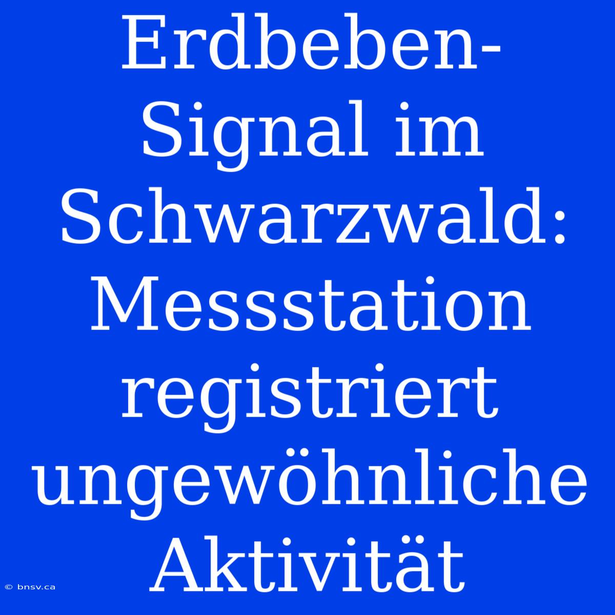 Erdbeben-Signal Im Schwarzwald: Messstation Registriert Ungewöhnliche Aktivität