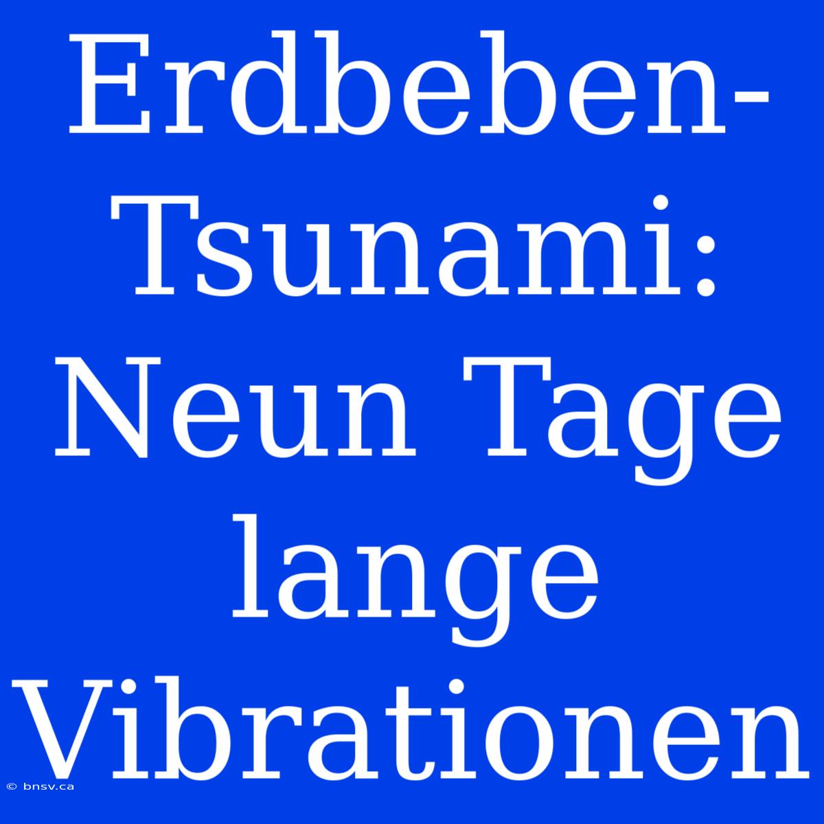 Erdbeben-Tsunami: Neun Tage Lange Vibrationen