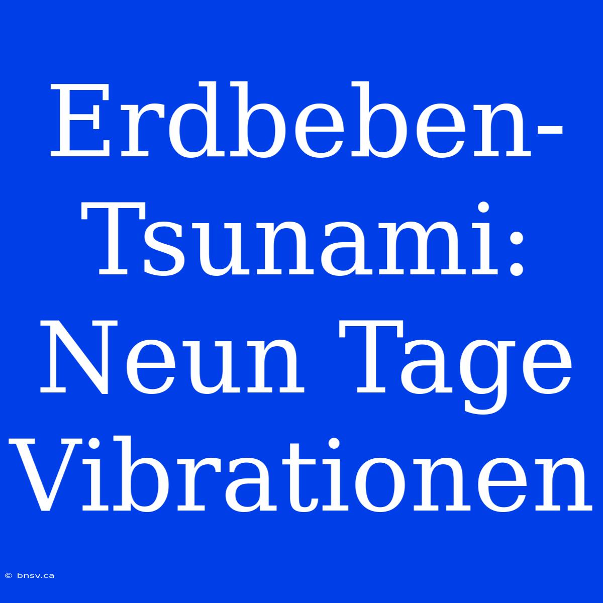 Erdbeben-Tsunami: Neun Tage Vibrationen