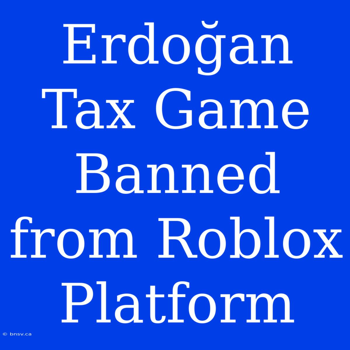 Erdoğan Tax Game Banned From Roblox Platform