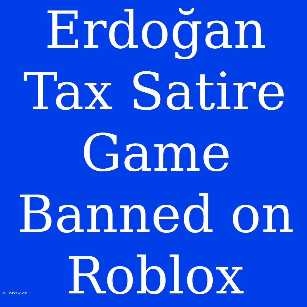 Erdoğan Tax Satire Game Banned On Roblox