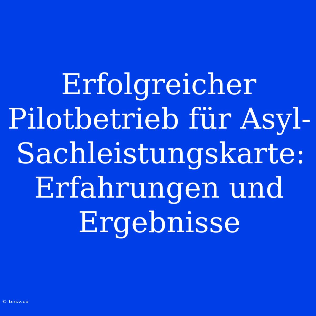 Erfolgreicher Pilotbetrieb Für Asyl-Sachleistungskarte: Erfahrungen Und Ergebnisse