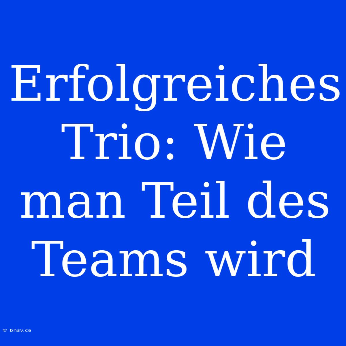 Erfolgreiches Trio: Wie Man Teil Des Teams Wird