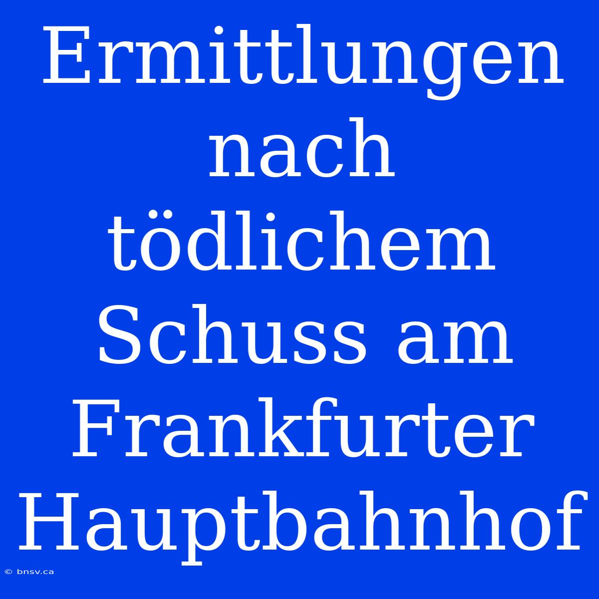 Ermittlungen Nach Tödlichem Schuss Am Frankfurter Hauptbahnhof