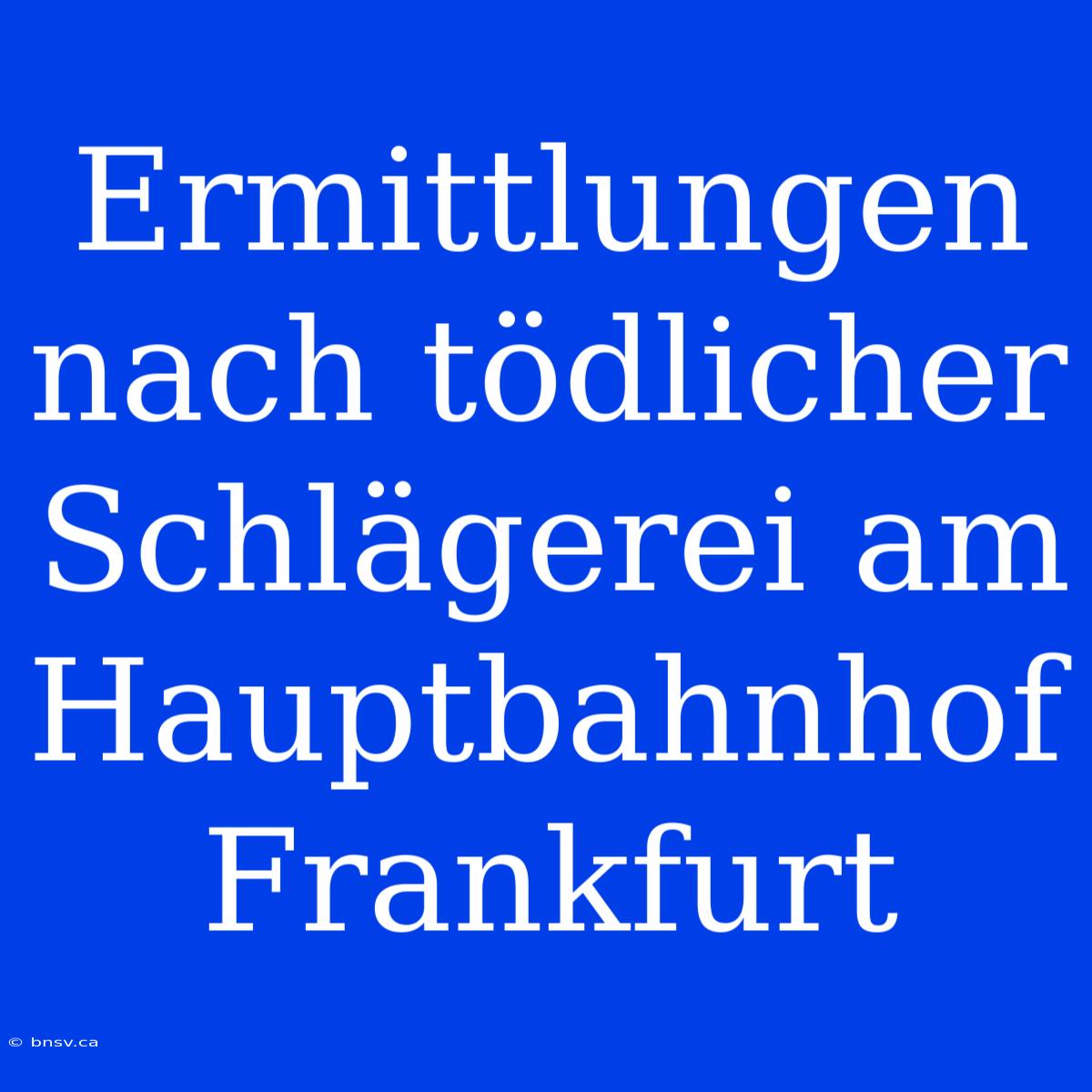 Ermittlungen Nach Tödlicher Schlägerei Am Hauptbahnhof Frankfurt