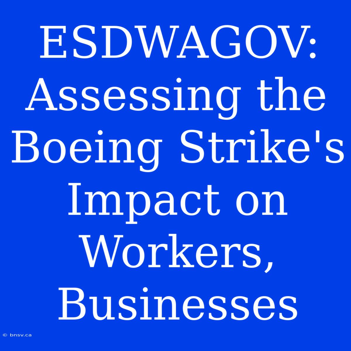 ESDWAGOV: Assessing The Boeing Strike's Impact On Workers, Businesses