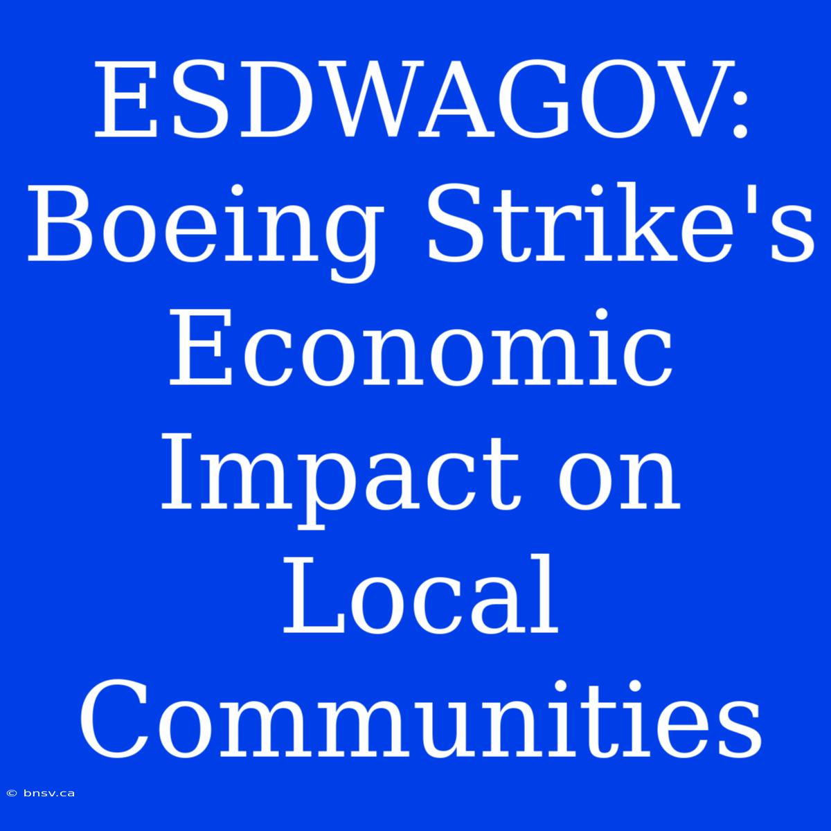 ESDWAGOV: Boeing Strike's Economic Impact On Local Communities